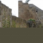 tuscania15