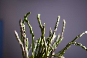 asparagi-selvatici2