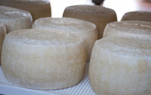 pecorini1 pecorini1